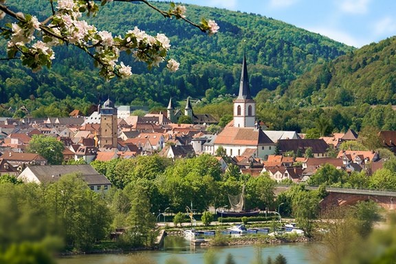 Stadtansicht Sendelbach